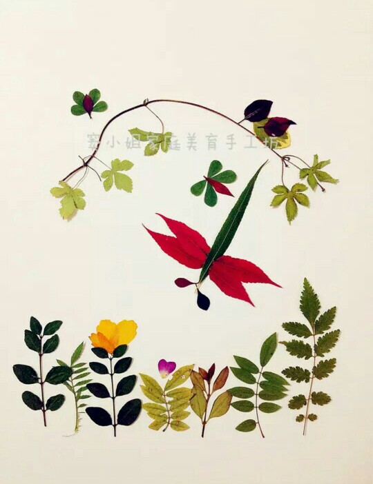 树叶贴画(收集)图片