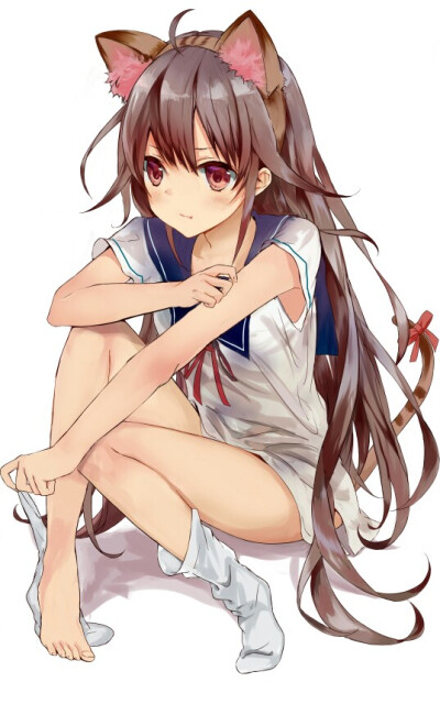 猫耳娘