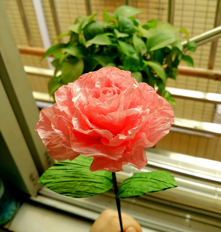 蔷薇花一朵,让so冷的冬日暖一只吧.用皱纹纸做的啦.