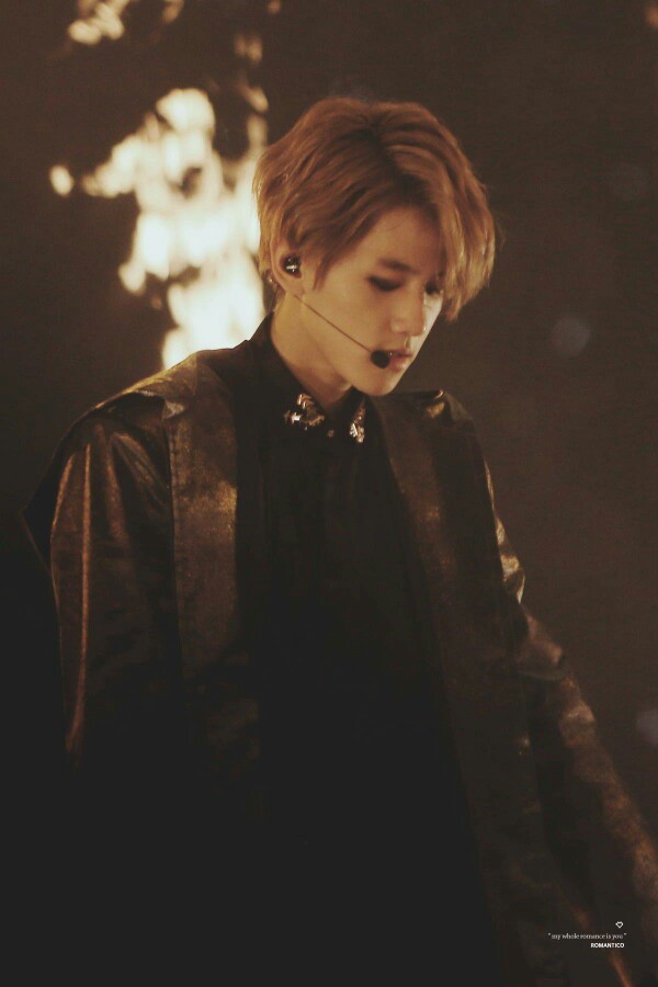 exo二巡 the exo"luxion 边伯贤
