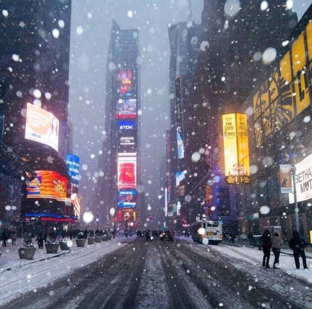 你的城市下雪了吗