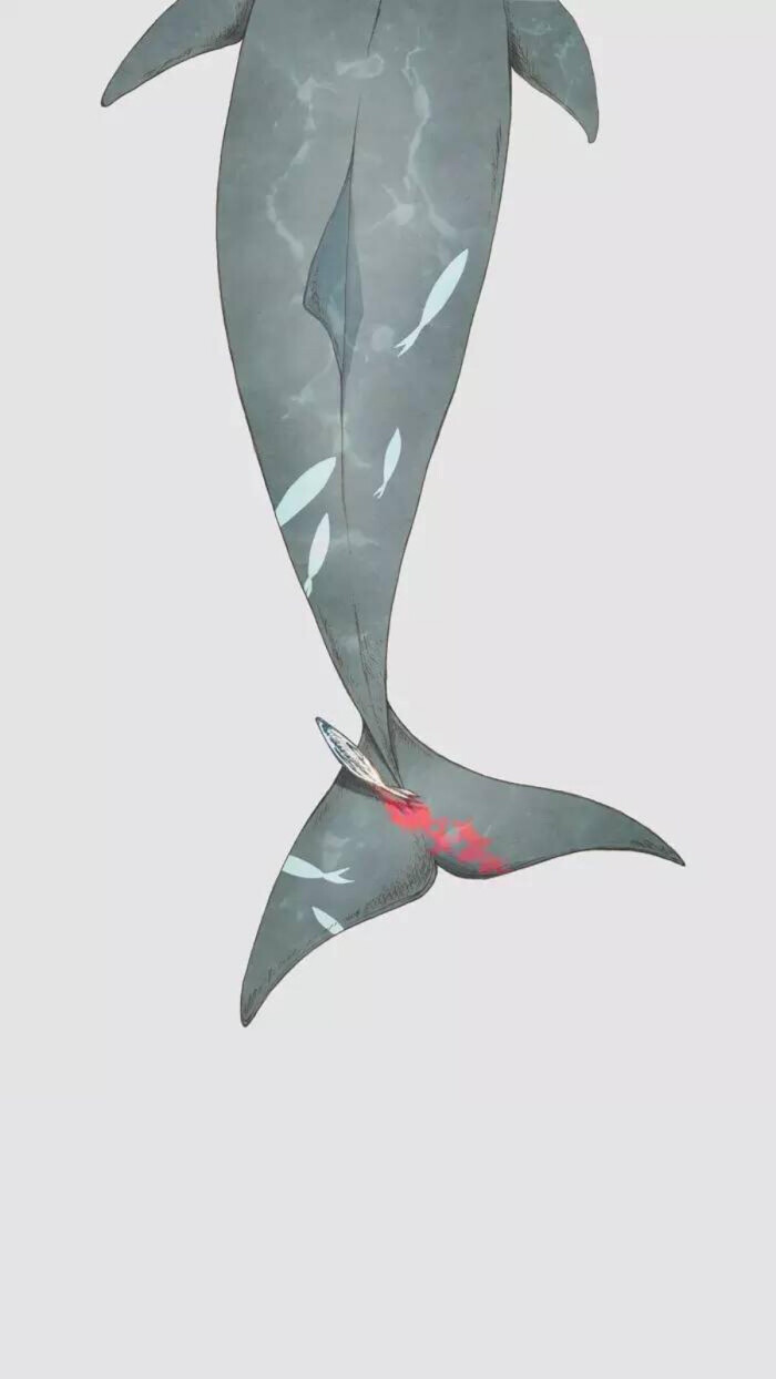 深海里的鲸