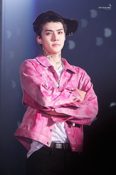 exo##朴灿烈##吴世勋##鹿晗##边伯贤##吴亦凡##张艺兴##金俊绵##金钟
