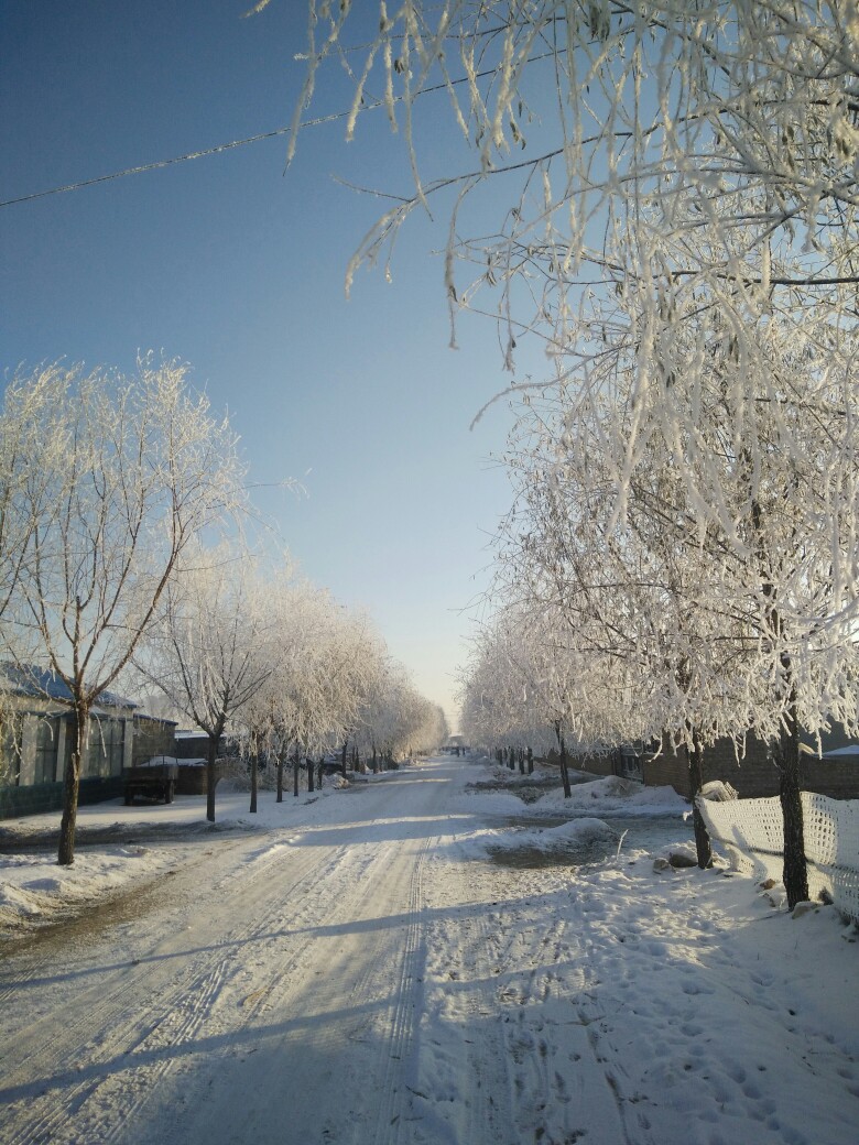 冬天农村照片真实照片图片