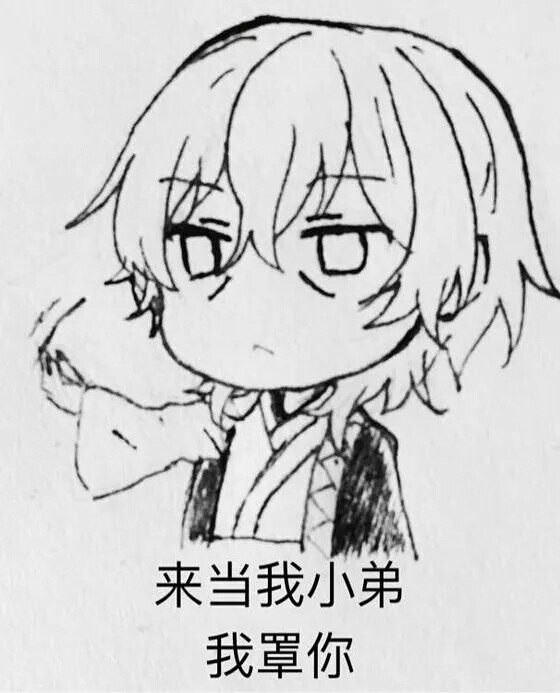 文豪野犬表情包,图源贴吧