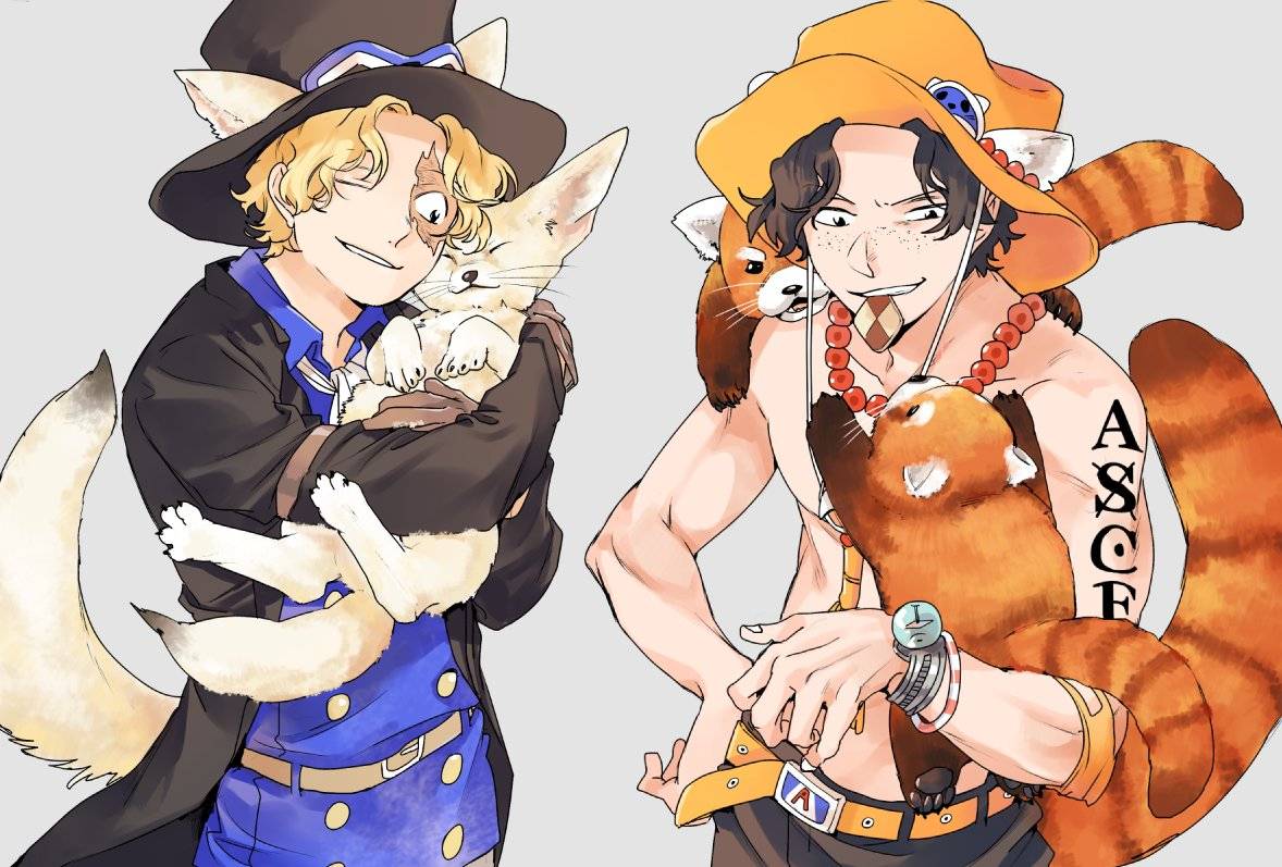 78-堆糖,美好生活研究所