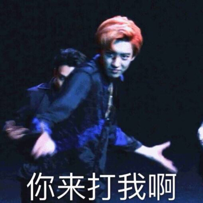 exo表情包 朴灿烈 chanyeol