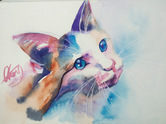 喵~手绘 水彩 插画 水彩插画 小清新 可爱 壁纸 梦幻 彩铅 铅笔 画绘