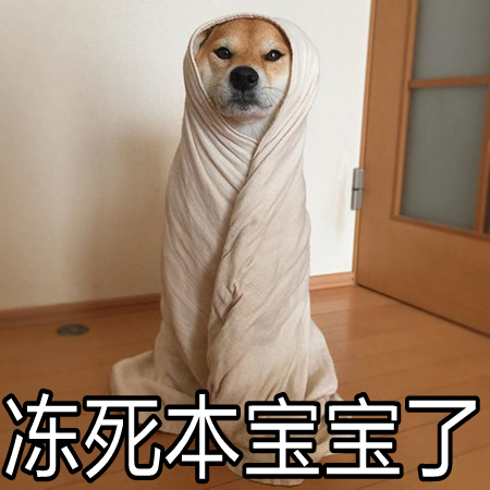 柴犬动态自制表情表情包信微索隆图片