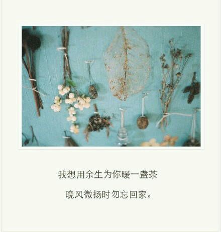 余生不悔,勿忘回家