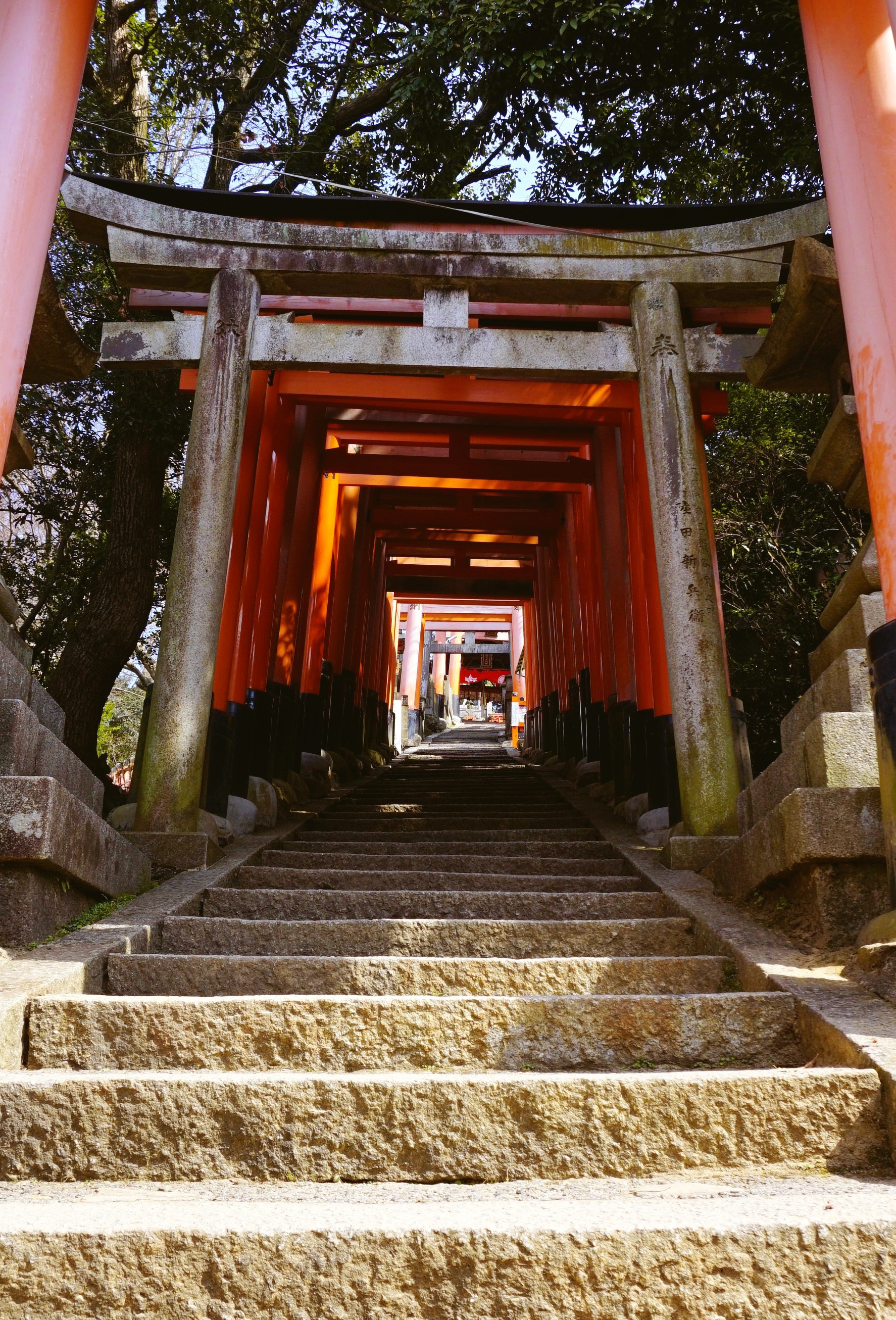 日本千鸟居图片