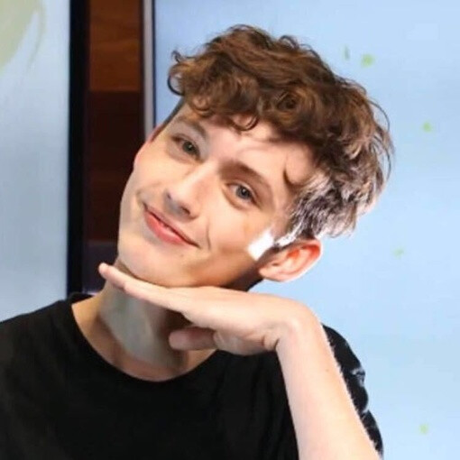 troye头像,troyesivan头像 troye siven 戳爷男生头像欧美头像