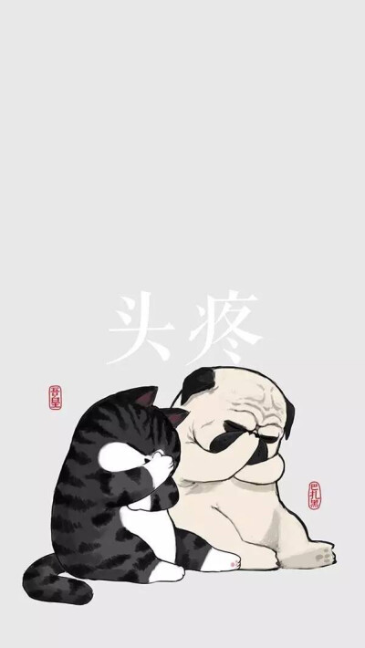 iphone壁纸 吾皇的白茶