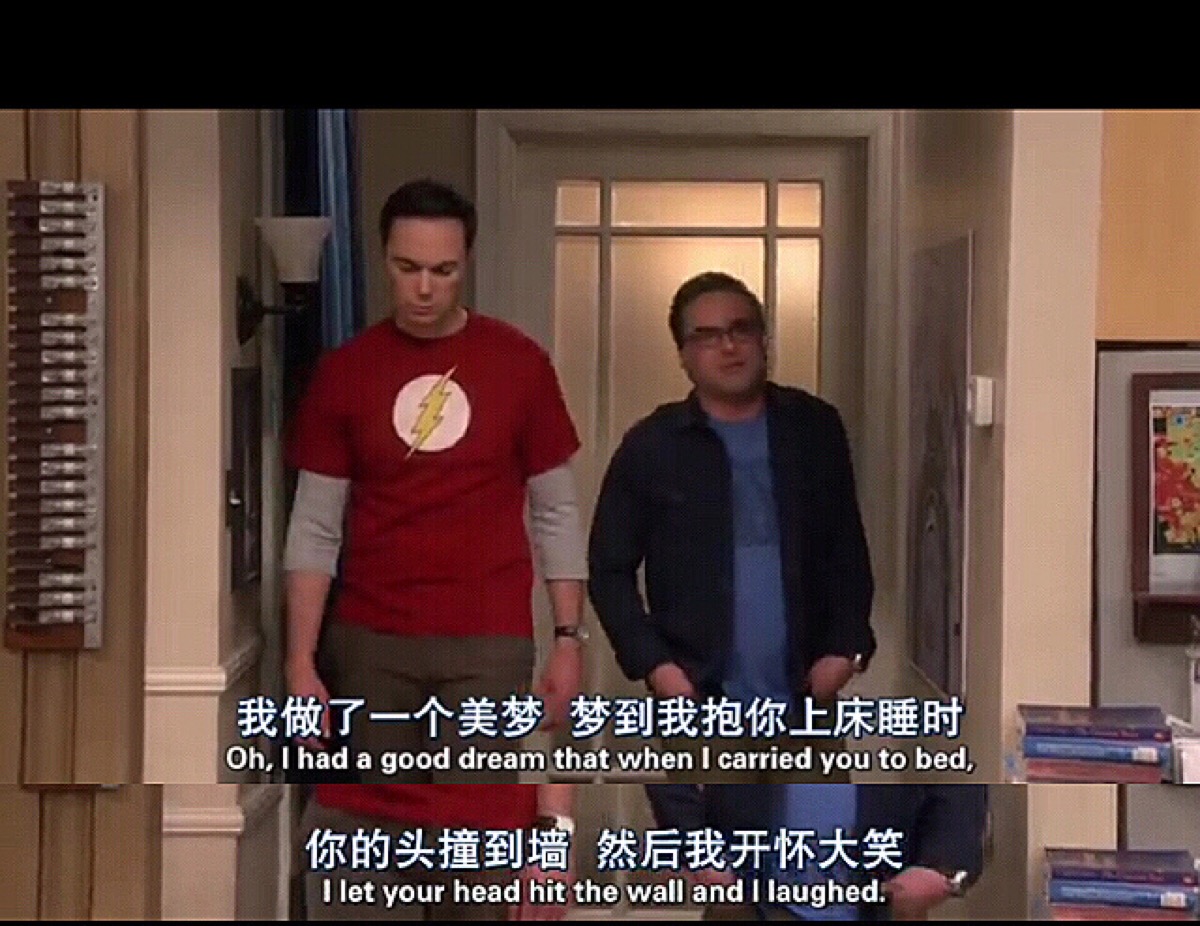 生活大爆炸 哈哈哈哈不知道为什么就觉得好好笑,感觉自己笑点好低呀