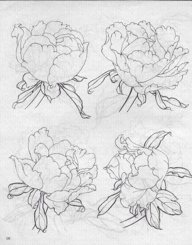 画素材 牡丹 白描 线稿 黑白 植物 花卉 参考图片