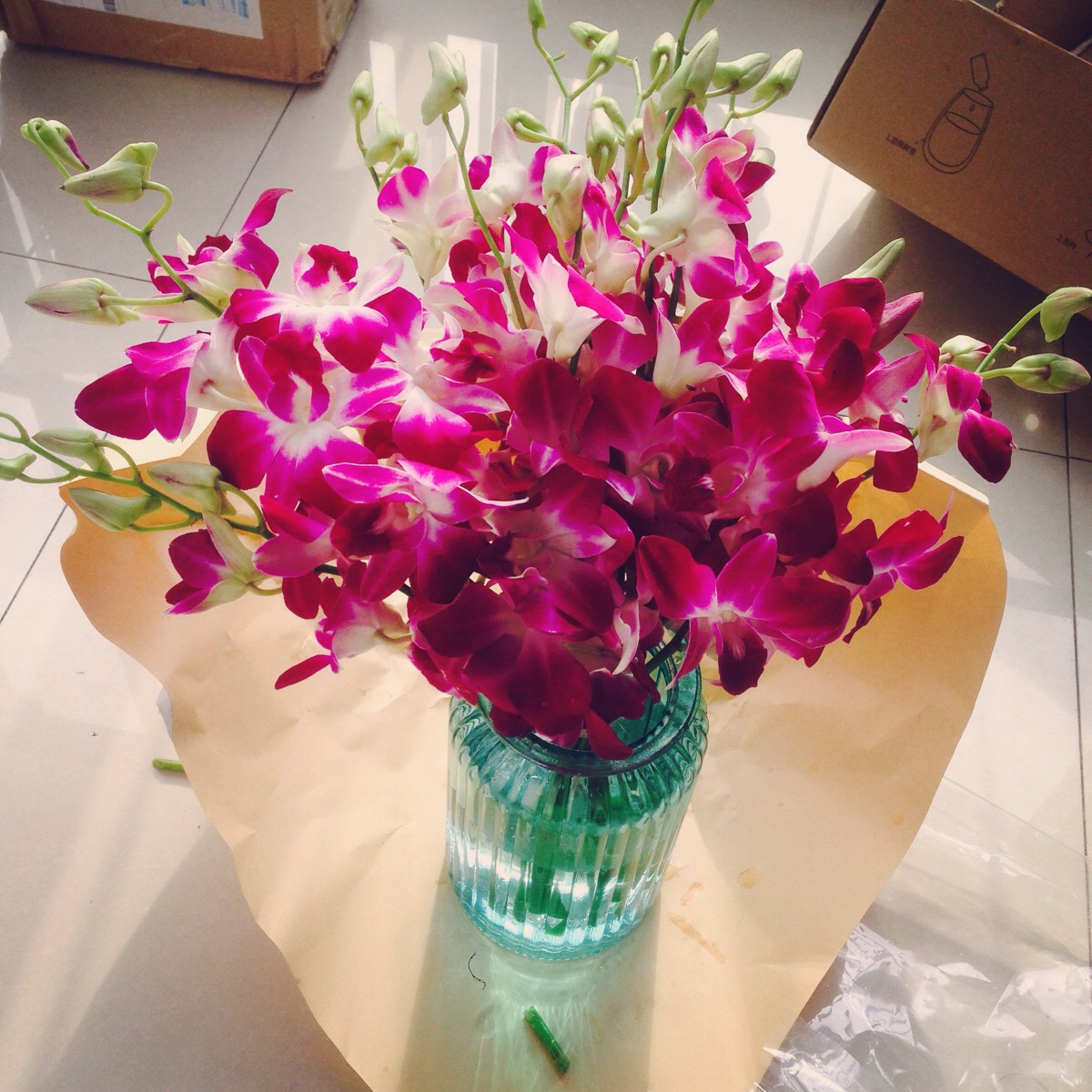 十二月初的洋兰是年末的热度,是万代不朽的卓越锦绣.