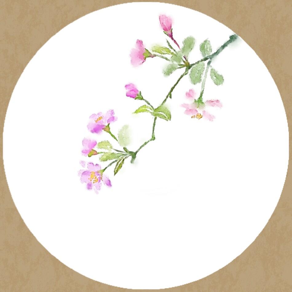 现在我知道了解语花就是海棠花,却还是不知道我在你眼中的模样.