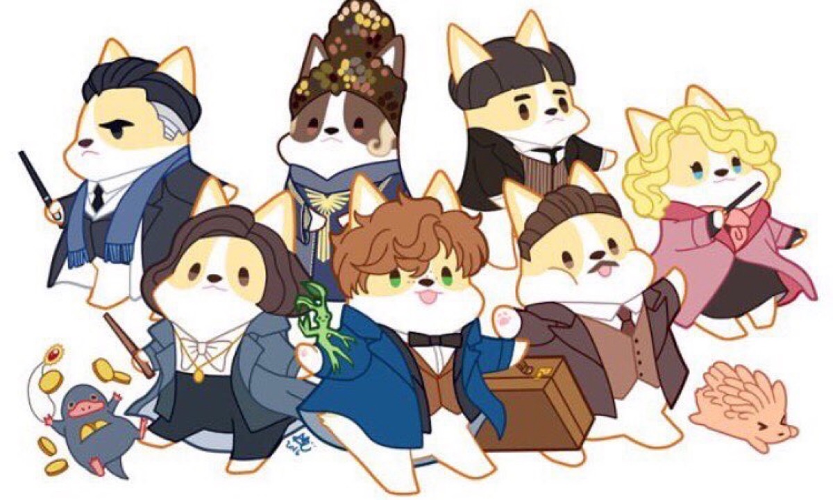 fantastic beasts and where to find them 《神奇动物在哪里》