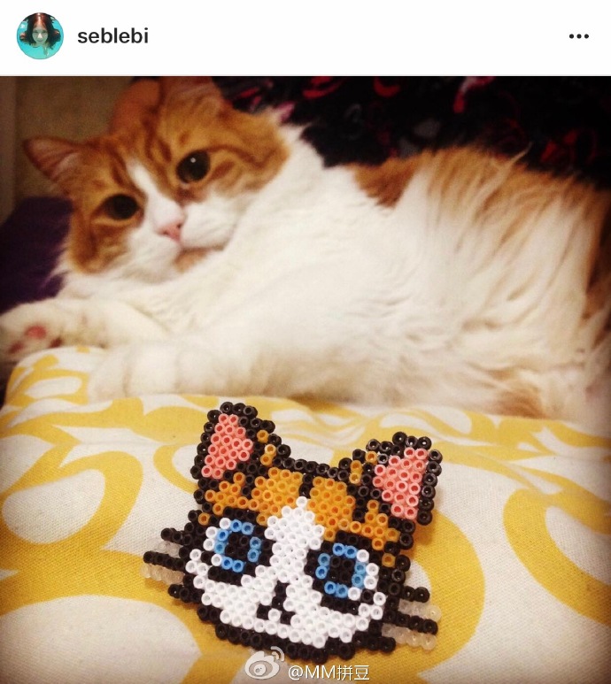 后来延伸出黑猫,折耳猫,白毛,三花猫其实,同一个图,换个配色就截然不