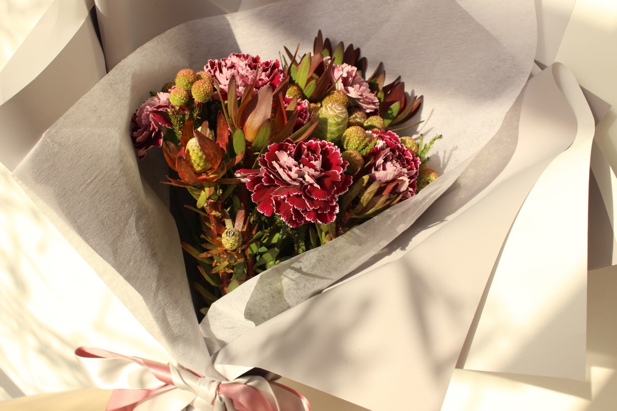 丝绒质感的康乃馨