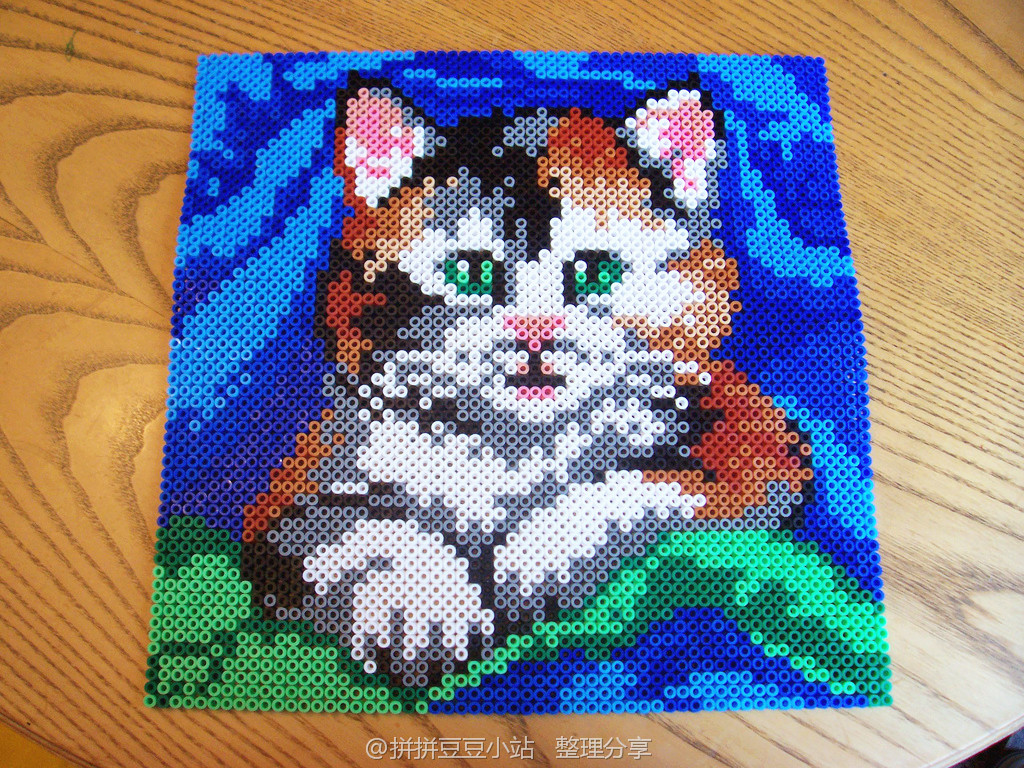 拼拼豆豆 动物作品猫猫 小猫 猫咪 喵喵 喵星人 铲屎官最爱系列拼豆