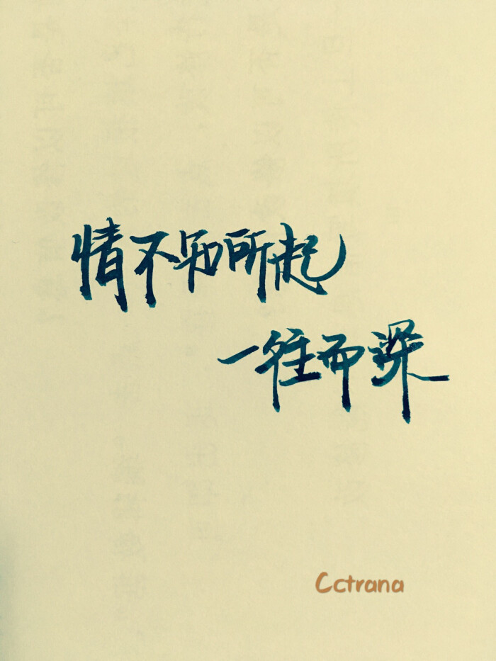 情不知所起 一往而深