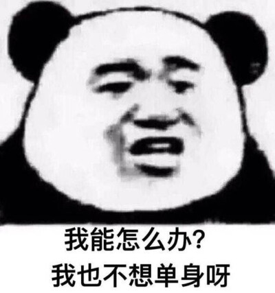 qq斗图呆萌图片