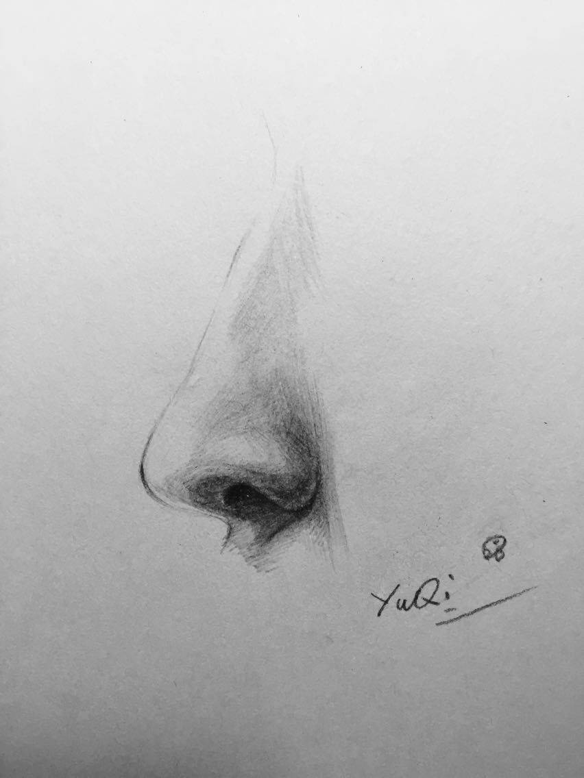 吴亦凡的鼻子写生吴亦凡手绘 插画绘画 素描漫画 卡通吴亦凡 kris exo