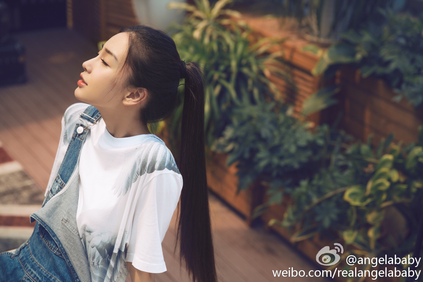 angelababy美图壁纸,angelababy壁纸 angelababy 杨颖高清美图壁纸写真