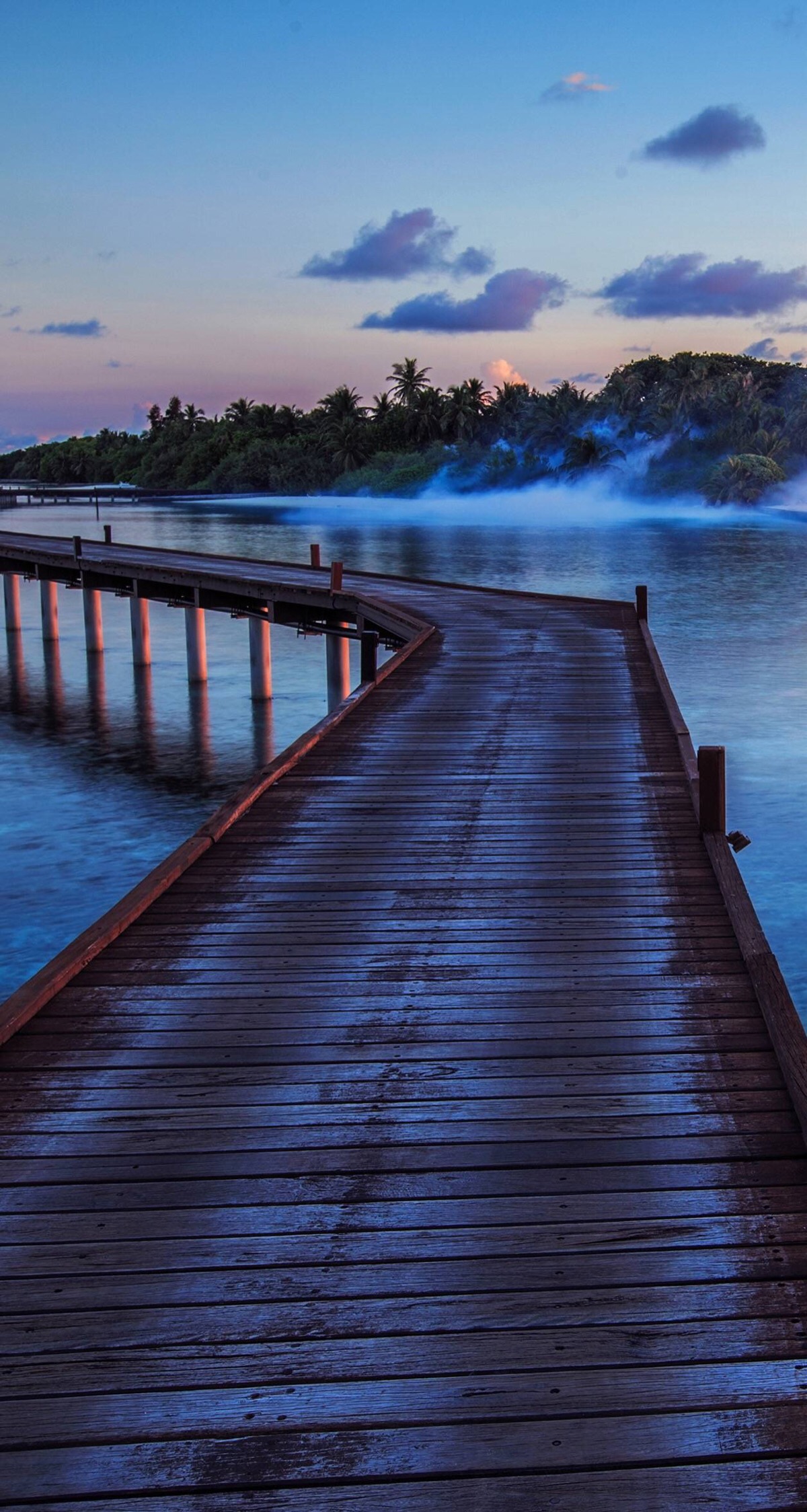 陪你看最美的风景