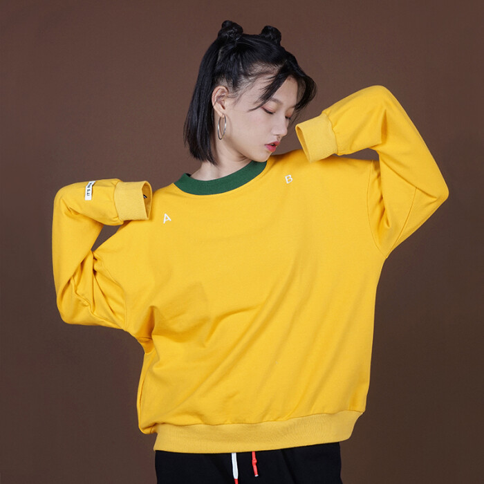 llano16 its new新系列原创纯棉刺绣复古韩版女宽松低领套头卫衣