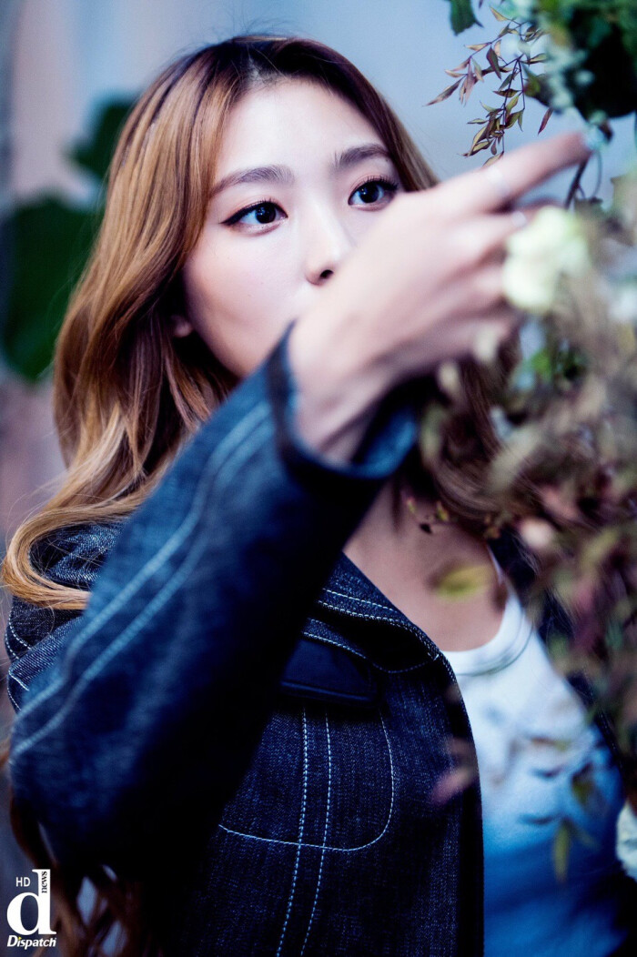 sistar 宝拉