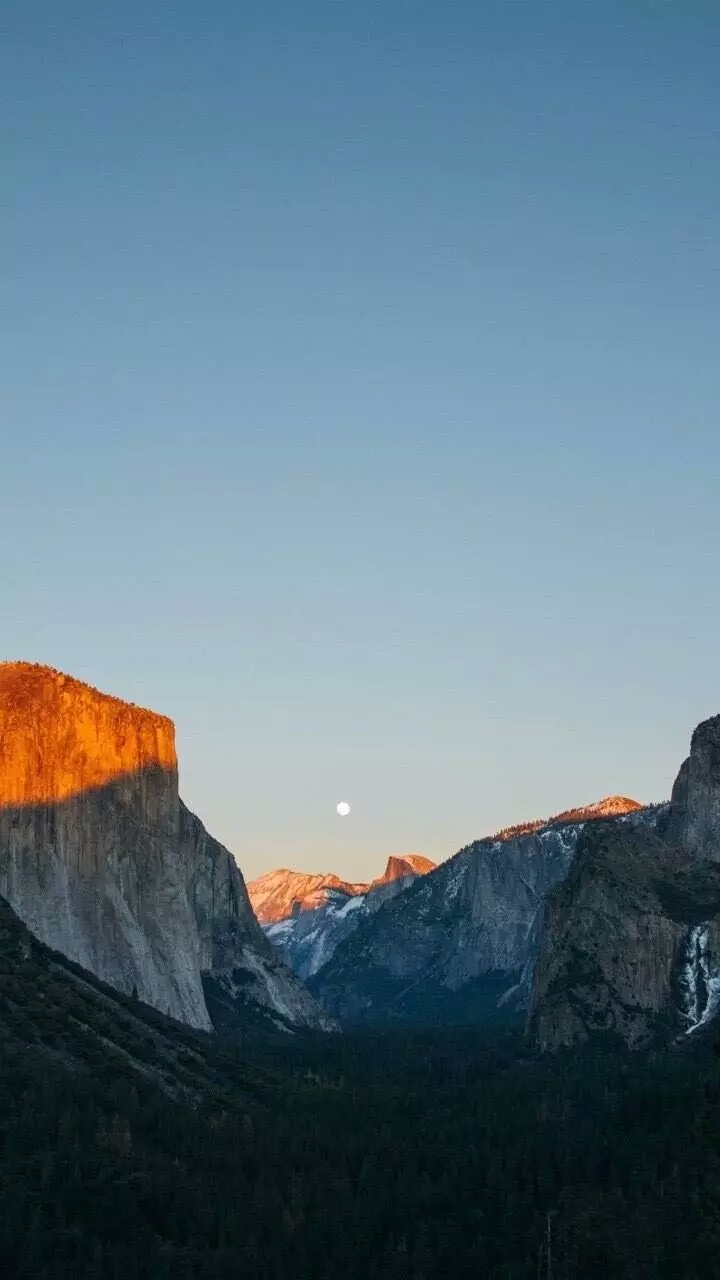 原创手机壁纸,iphone壁纸锁屏(文字,风景,欧美,插画,萌物,平铺,植物