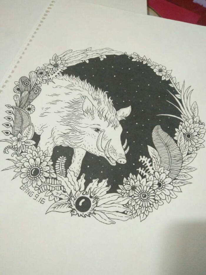 黑白生肖画-猪手绘线描