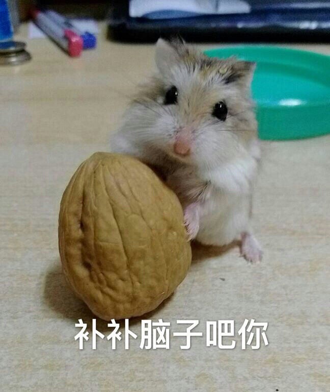表情包 可爱 仓鼠