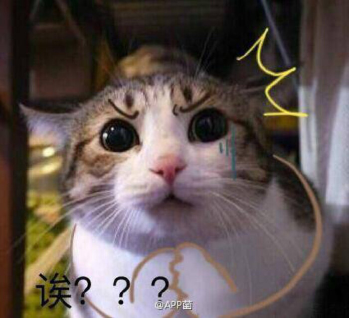 表情圈票圈朋友搞恶表情包宋明国微博配图不定期v表情-堆糖图片