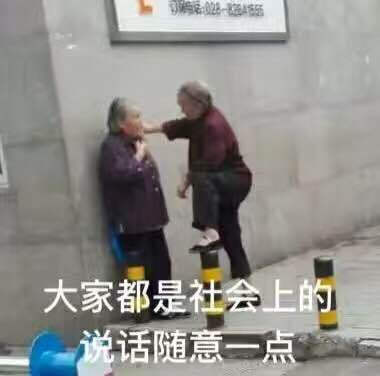 表情包 社会奶奶