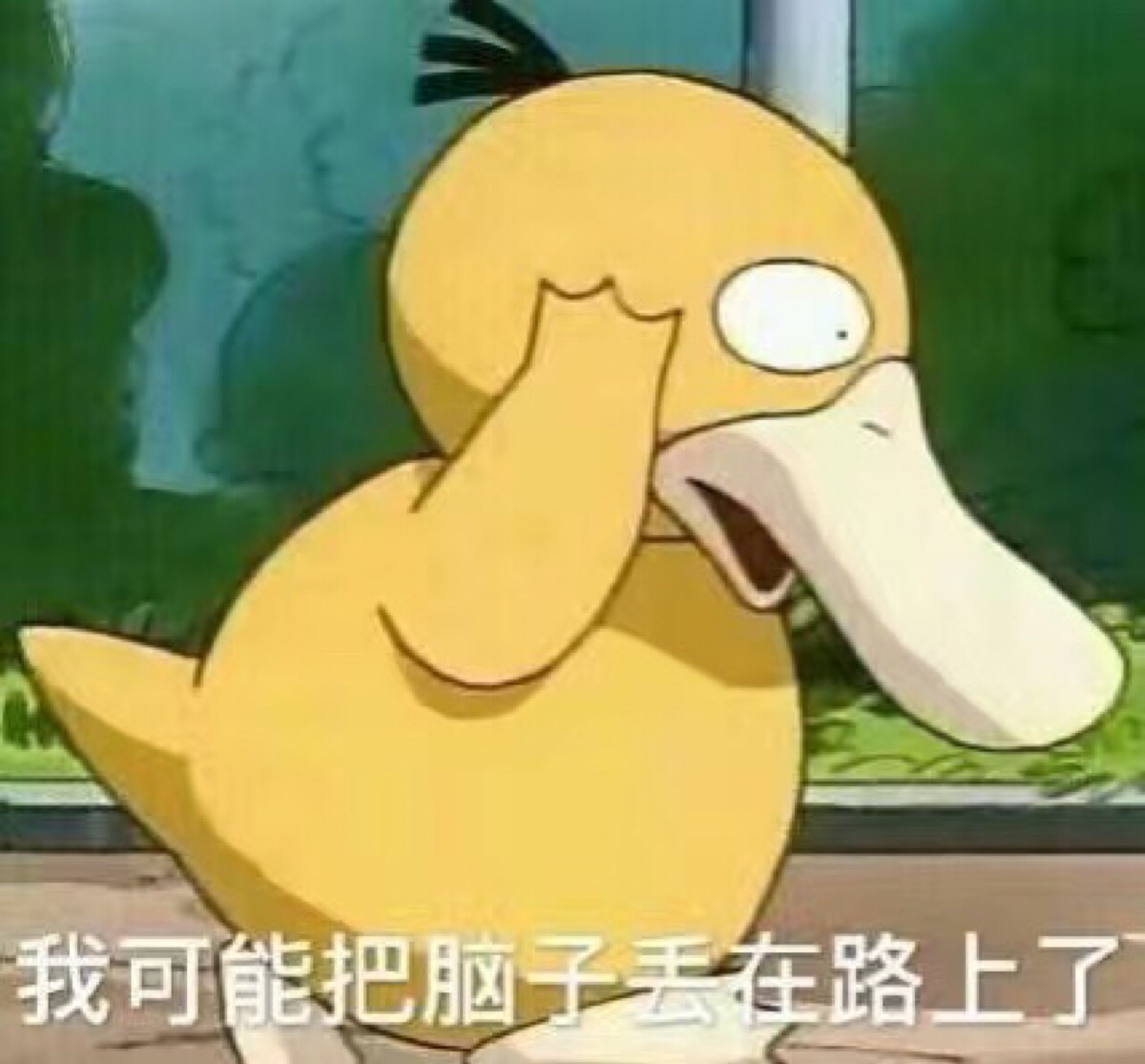 可达鸭 