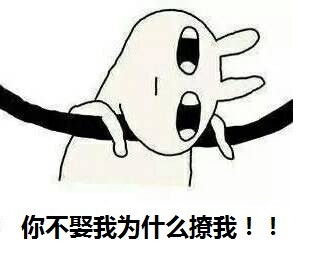 不娶我为什么撩我