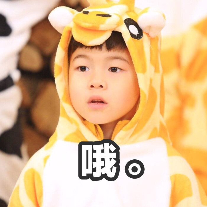 #安吉#沙俊伯#仓鼠去哪儿#沙仲基爸爸-堆糖撩的哥哥包表情小表情图片