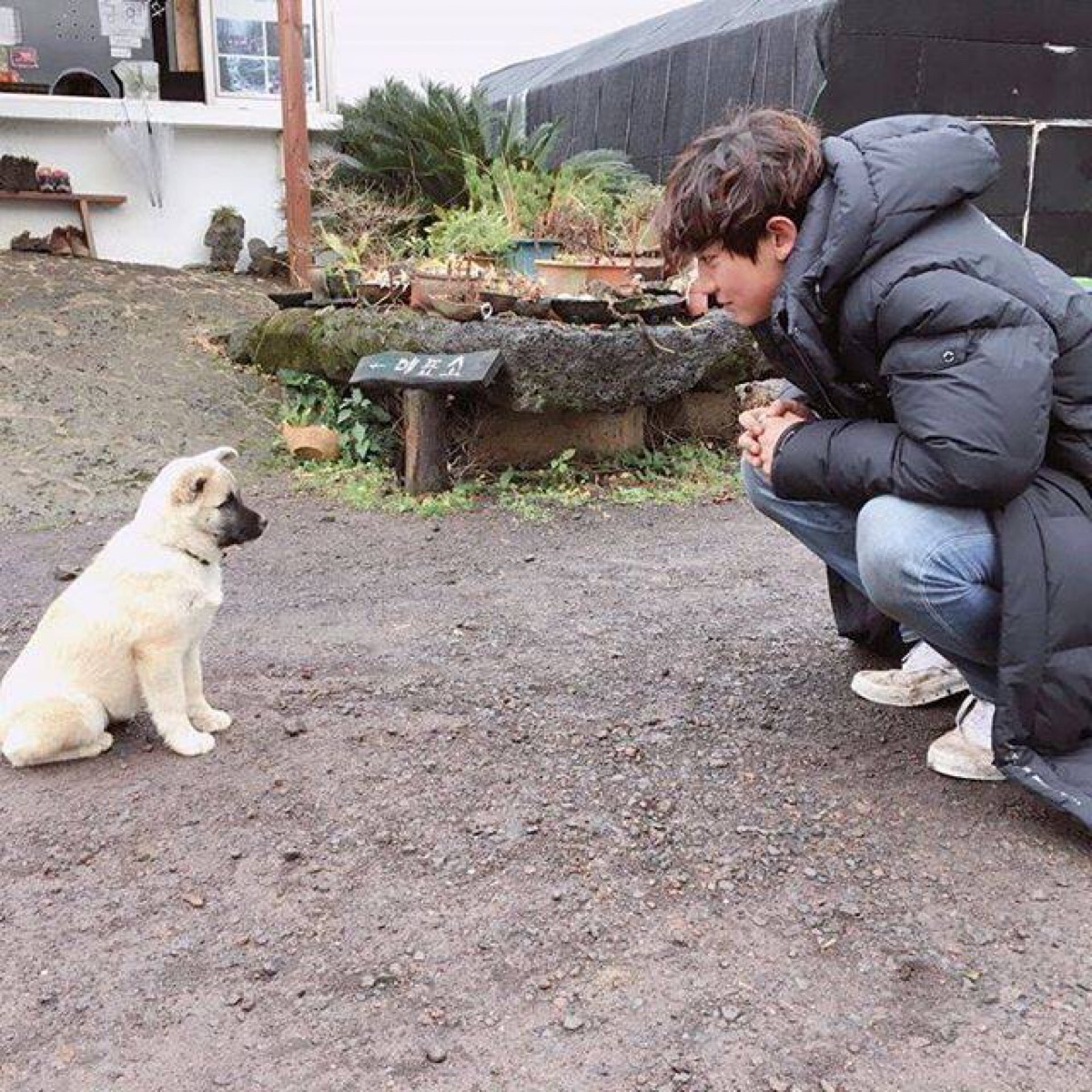 朴灿烈# #chan yeol# #161219 real__pcy ins更新# #exo# #壁纸 背景