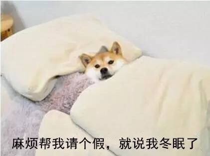 麻烦帮我请个假,就说我冬眠了