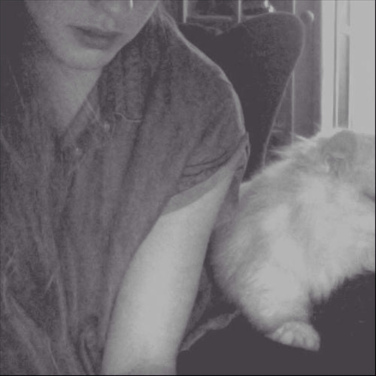 cashmere cat