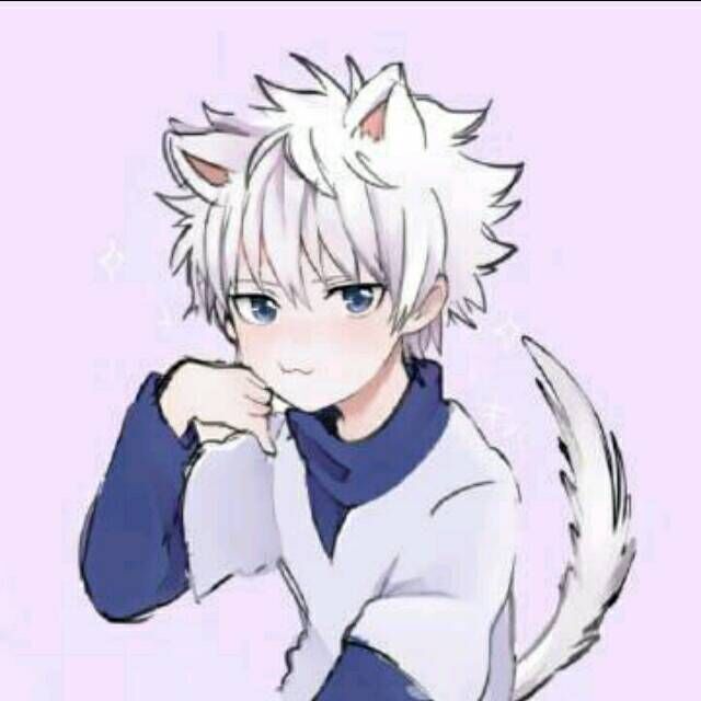 奇犽