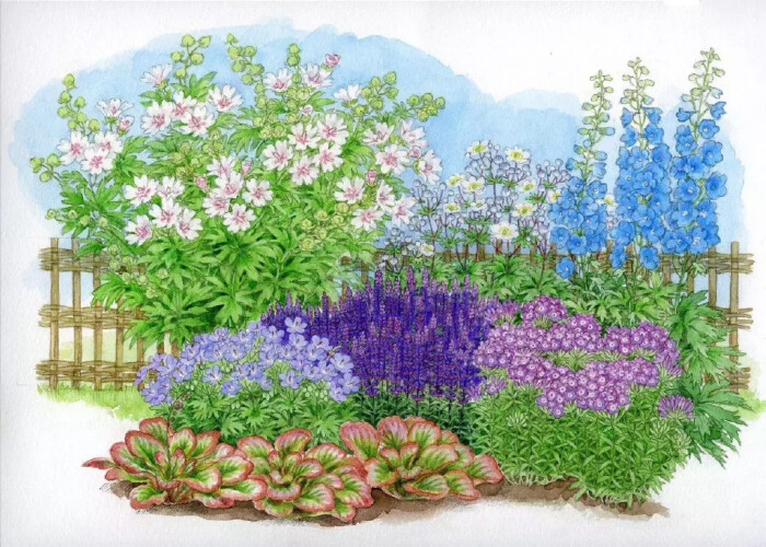 【 小清新手绘花境 】--- " 花境是运用艺术手法进行设计的一种花卉