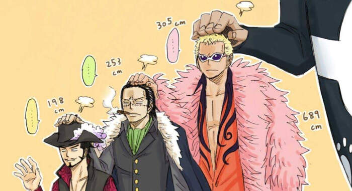 海贼王★七武海身高的比例