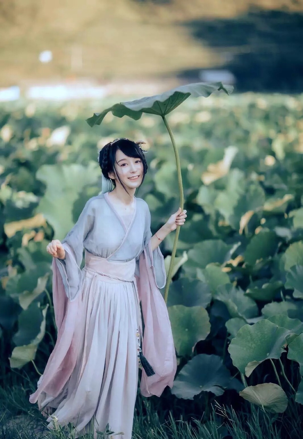 芙蓉如面柳如眉.