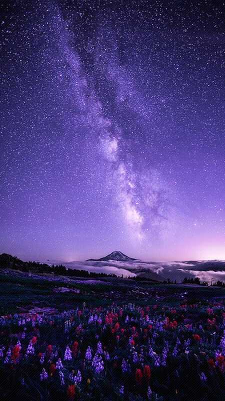 紫色背景