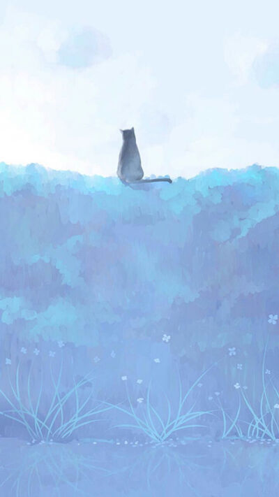 猫咪背景