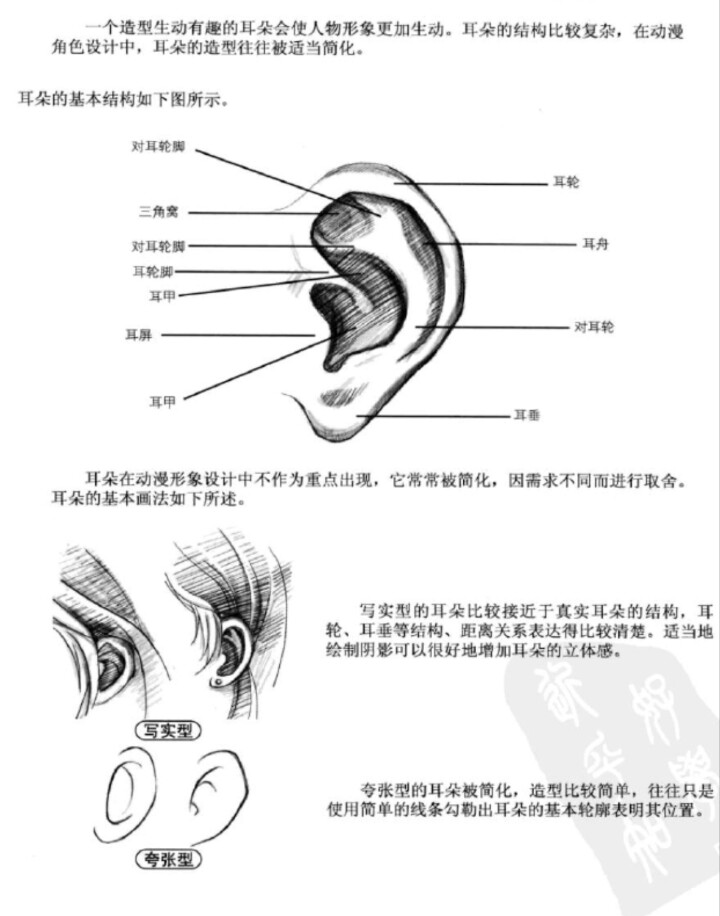 图转侵删#动漫人物耳朵画法,手绘吧